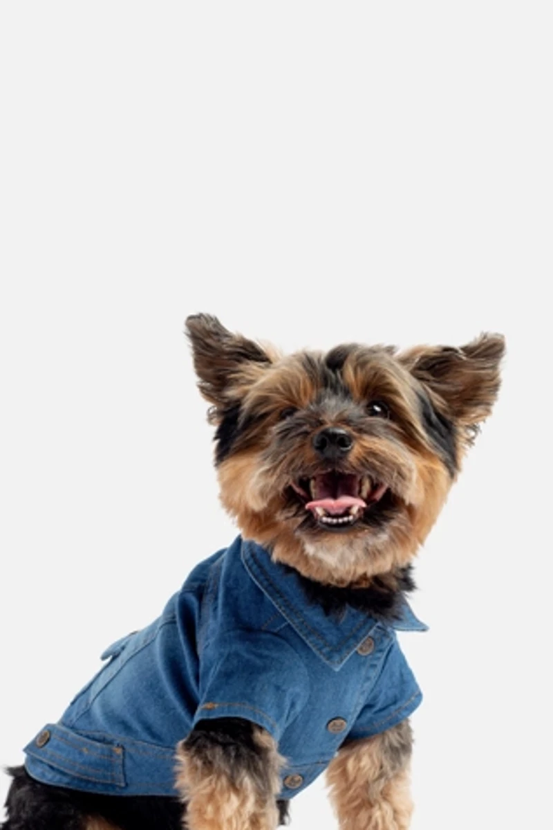 Silver Paw Dustin Denim Dog Jacket