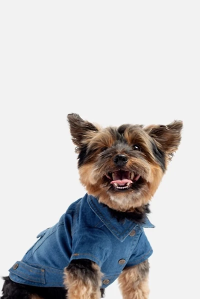 Silver Paw Dustin Denim Dog Jacket