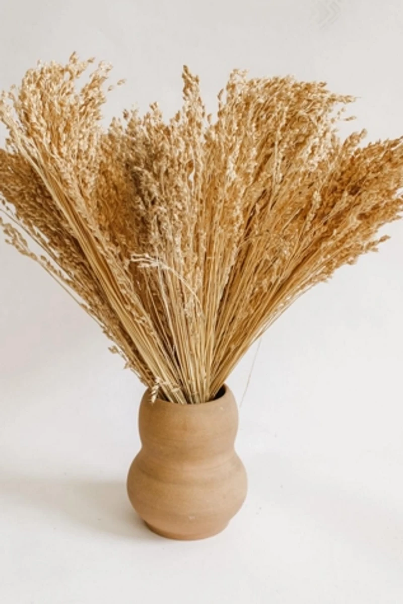 Sunhouse Craft Dried Broomcorn Harvest