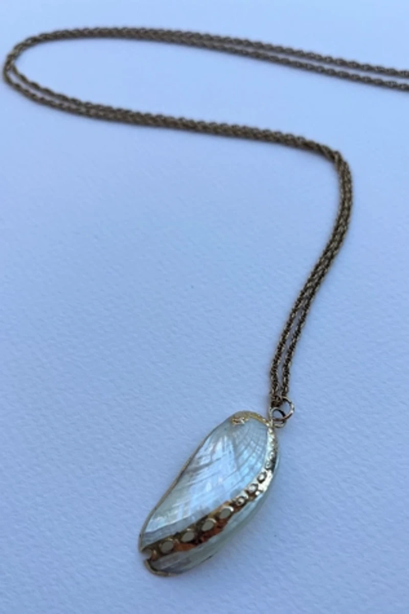 Gold Seashell Necklace Selected by Wax Plant