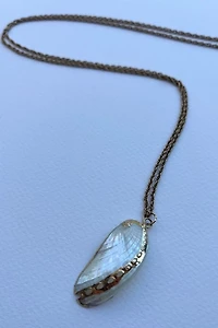 Gold Seashell Necklace Selected by Wax Plant