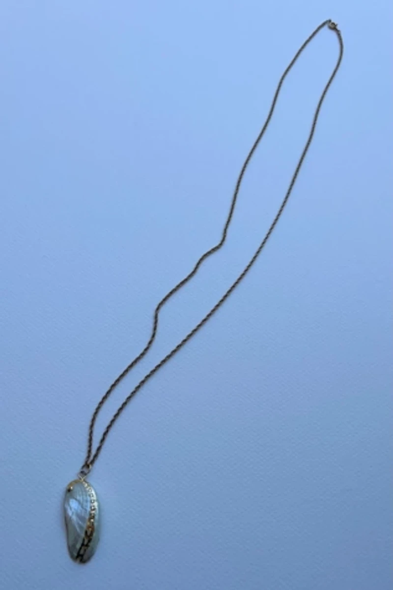 Gold Seashell Necklace Selected by Wax Plant