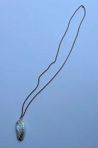 Gold Seashell Necklace Selected by Wax Plant