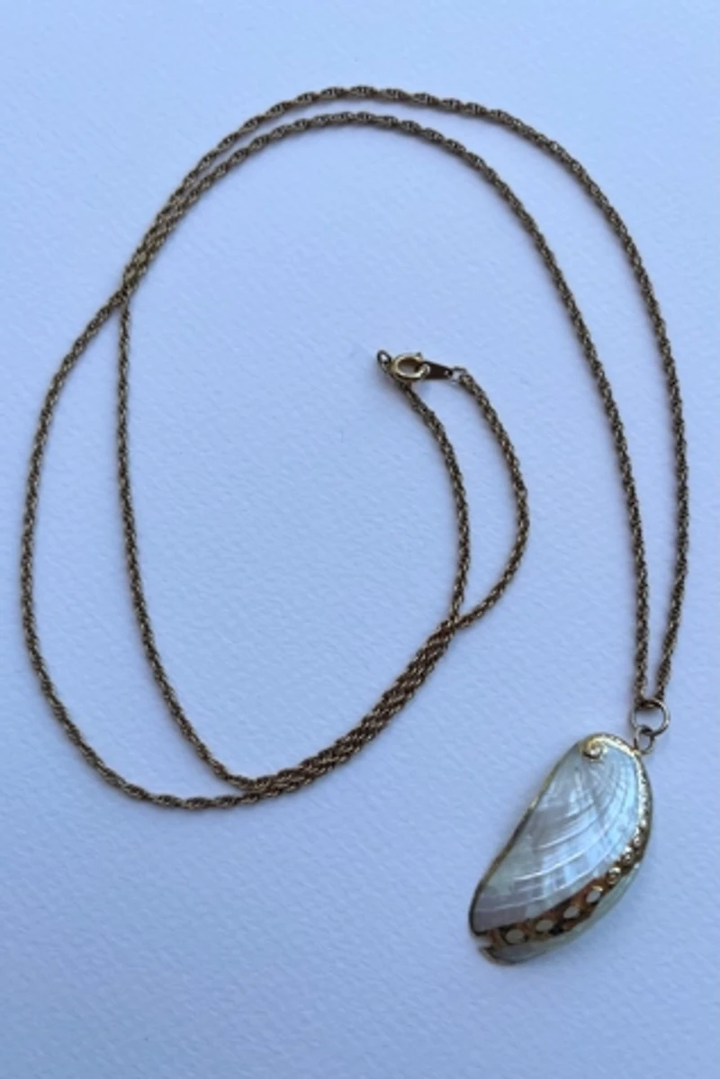 Gold Seashell Necklace Selected by Wax Plant