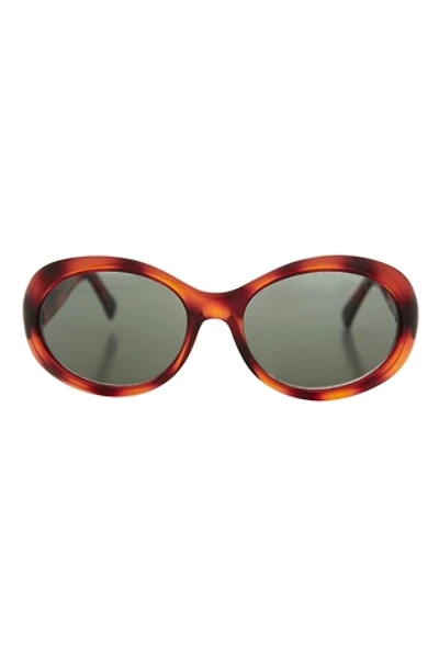 Vintage Bee Sunglasses Selected by Sunglass Museum