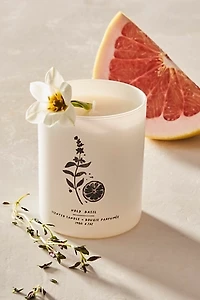 Free People Holy Basil & Blood Orange Candle
