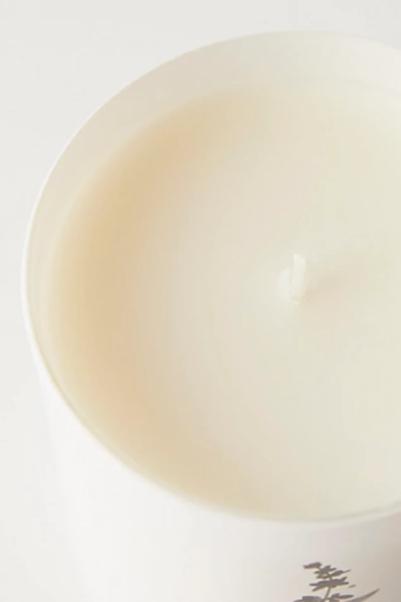 Free People Holy Basil & Blood Orange Candle