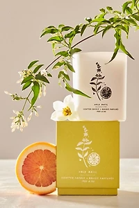 Free People Holy Basil & Blood Orange Candle