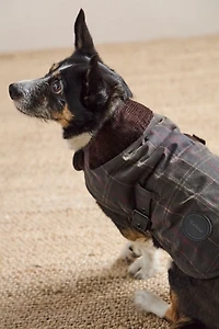 Barbour Wax Dog Coat