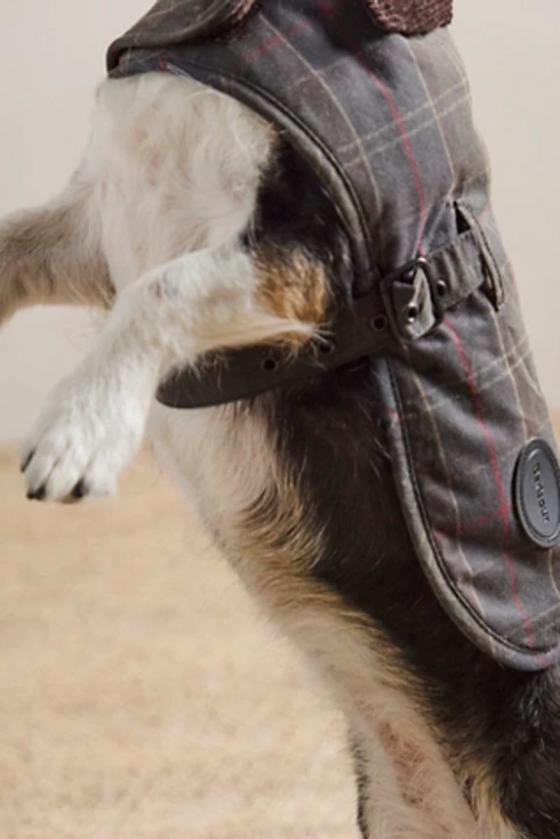 Barbour Wax Dog Coat