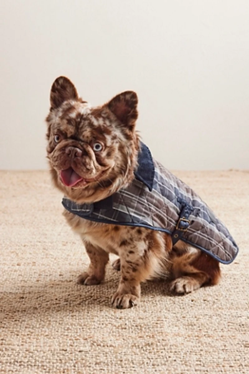 Barbour Tartan Dog Coat