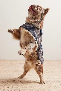 Barbour Tartan Dog Coat