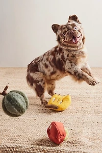 Fruit Set Of Toys