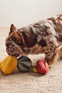 Fruit Set Of Toys
