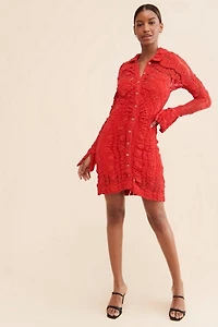Shayla Lace Mini Dress