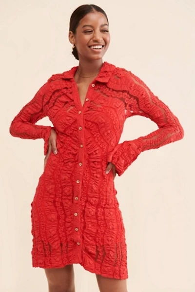 Shayla Lace Mini Dress