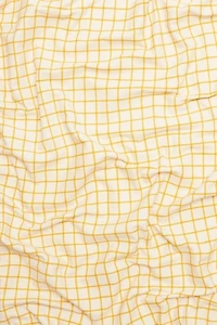 Anchal Grid Block Print Tablecloth