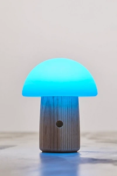 Mini Mushroom Lamp