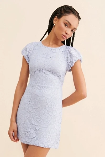 aurora lace mini dress AURORA | Lace Mini Dress Plus Size