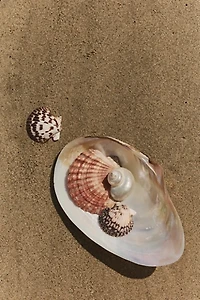 Waikiki Ring