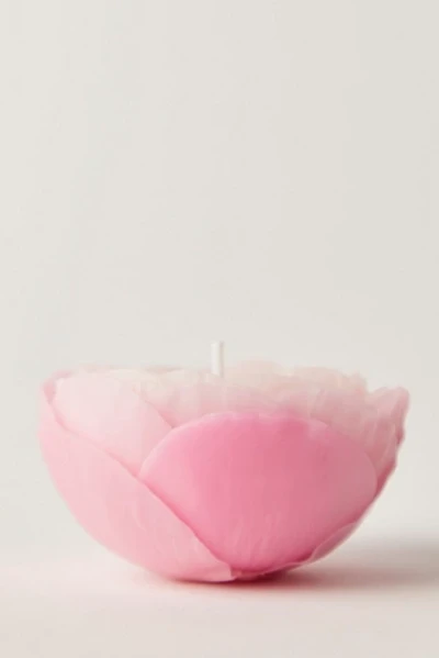 Peony Candle