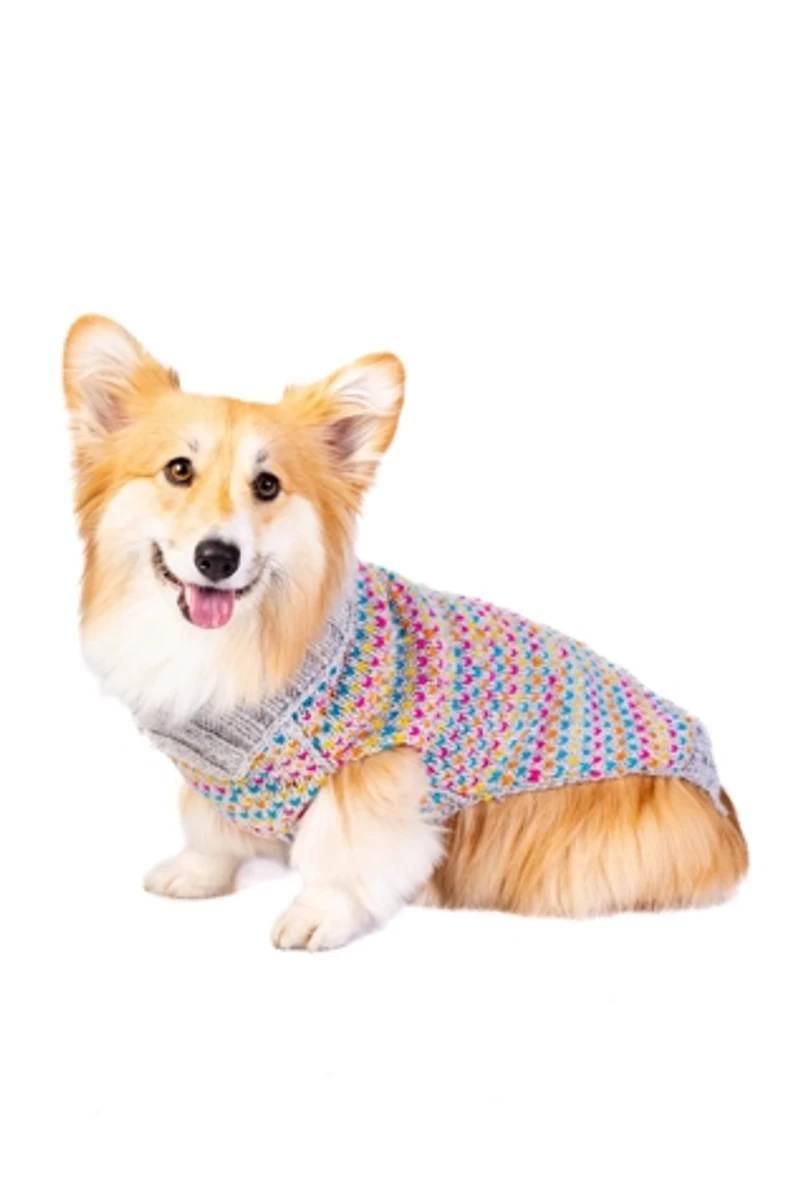 Chilly Dog Sprinkles Sweater