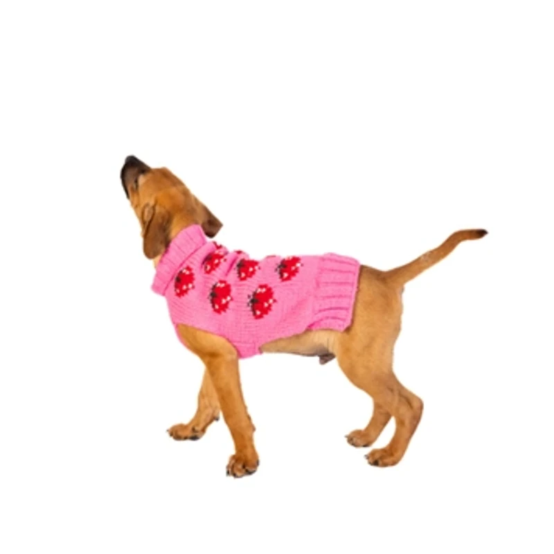 Chilly Dog Strawberry Dog Sweater