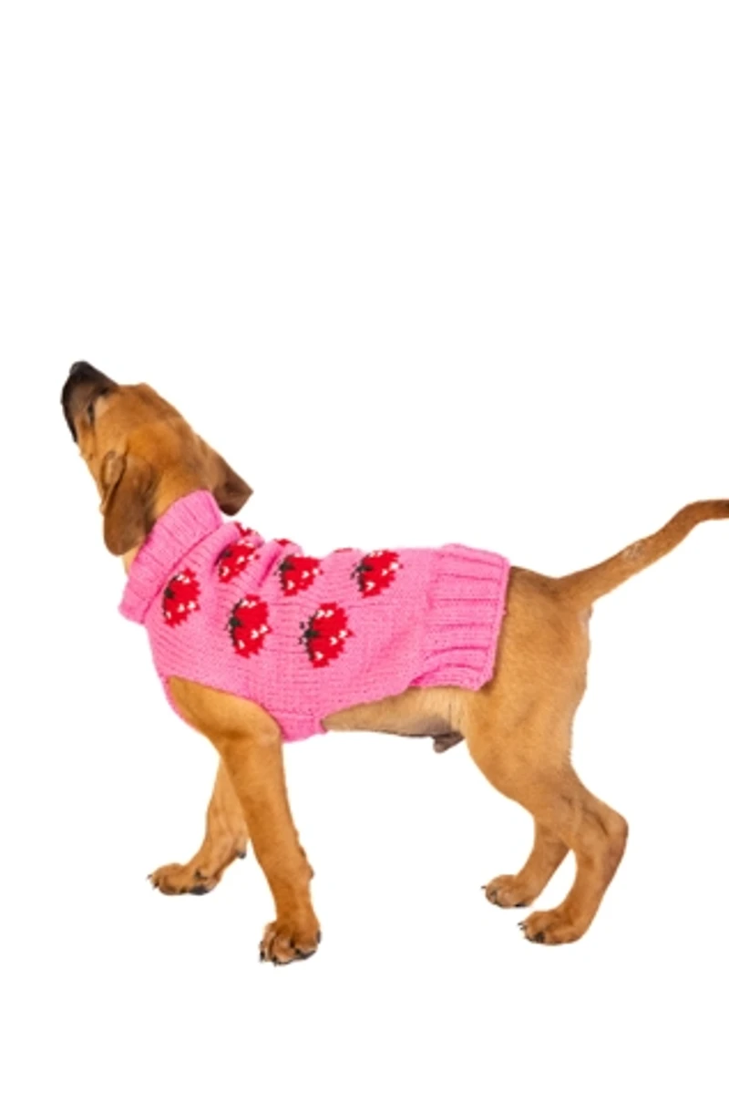 Chilly Dog Strawberry Dog Sweater