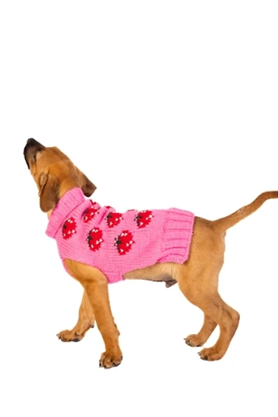 Chilly Dog Strawberry Dog Sweater