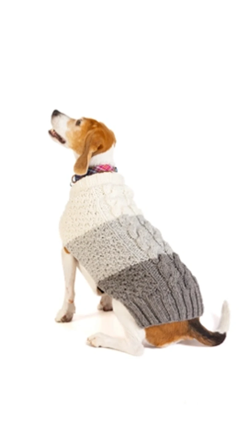 Chilly Dog Color Block Cable Sweater