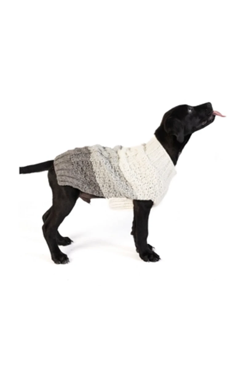 Chilly Dog Color Block Cable Sweater