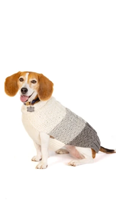 Chilly Dog Color Block Cable Sweater