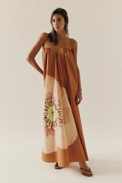 Significant Other Shiloh Maxi Dress