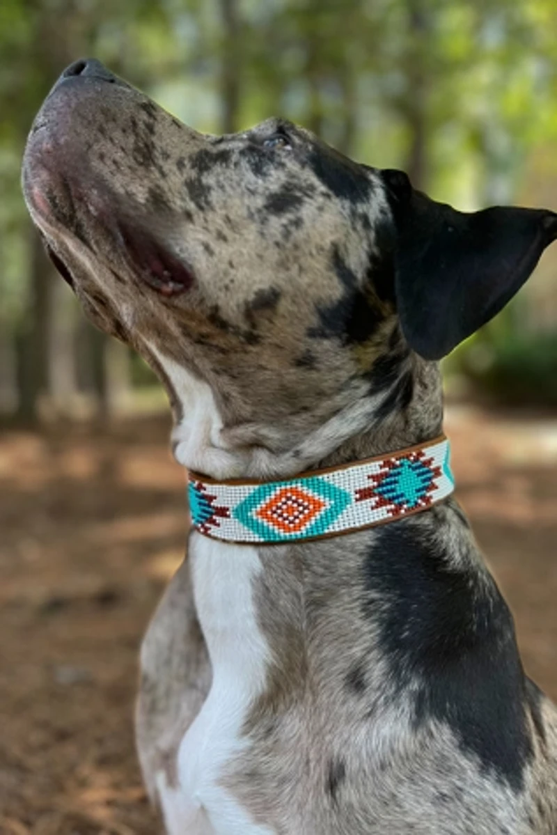 Sambboho Aztec Dog Collar