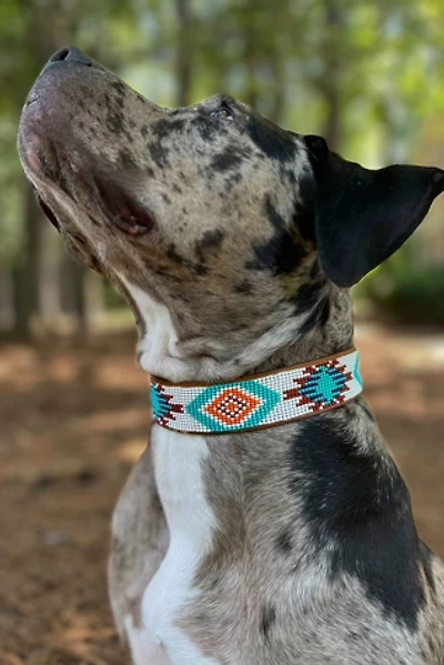 Sambboho Aztec Dog Collar