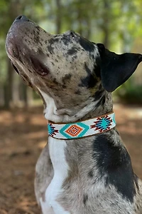 Sambboho Aztec Dog Collar