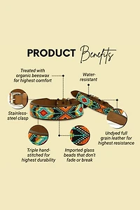 Sambboho Biarritz Dog Collar