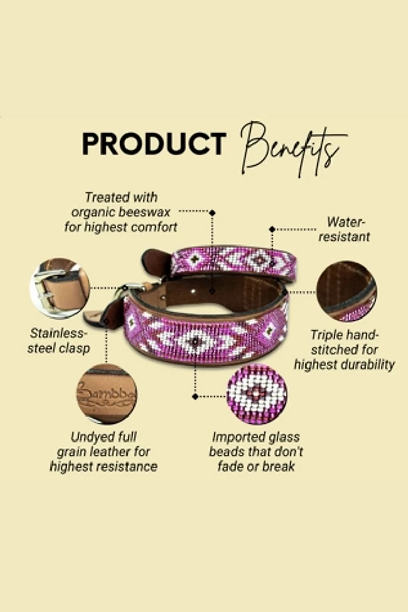 Sambboho Melrose Dog Collar