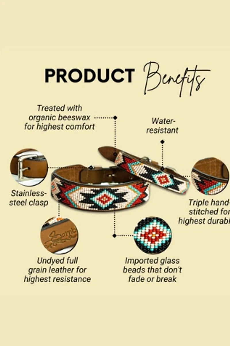 Sambboho Phoenix Dog Collar