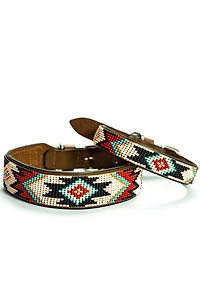 Sambboho Phoenix Dog Collar