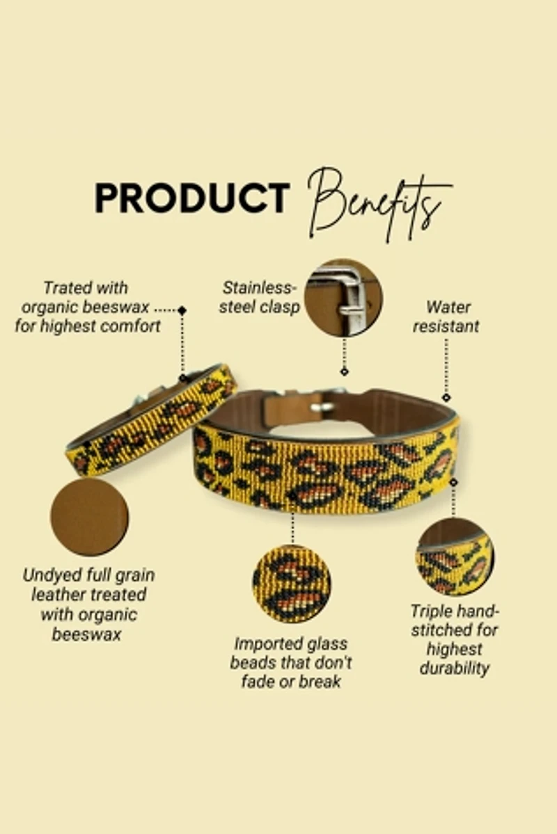 Sambboho Cheetah Dog Collar