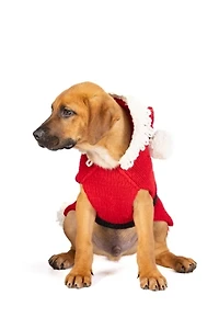 Chilly Dog Santa Sweater