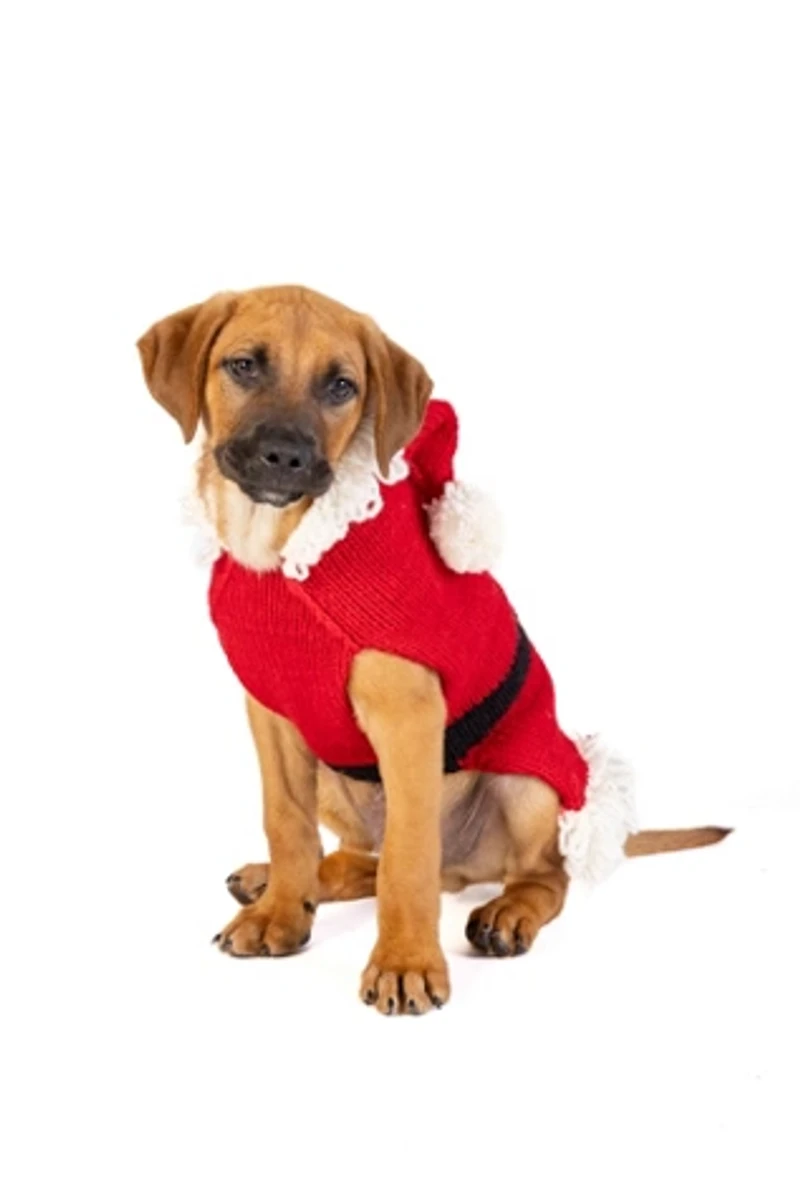 Chilly Dog Santa Sweater