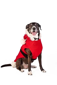 Chilly Dog Santa Sweater