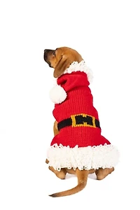 Chilly Dog Santa Sweater