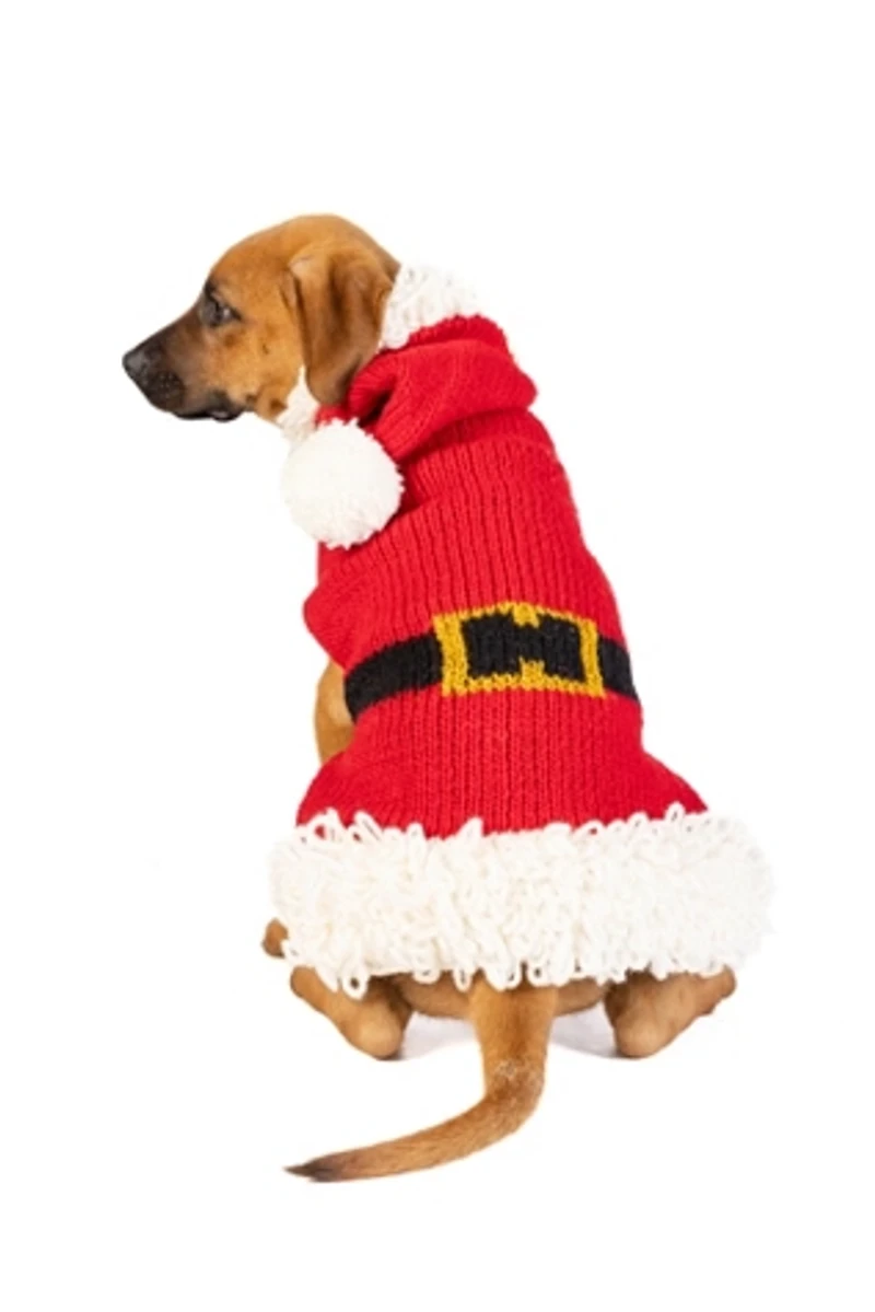 Chilly Dog Santa Sweater