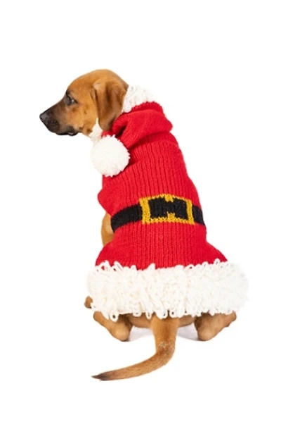 Chilly Dog Santa Sweater