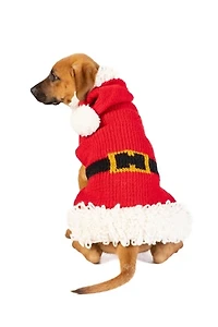 Chilly Dog Santa Sweater