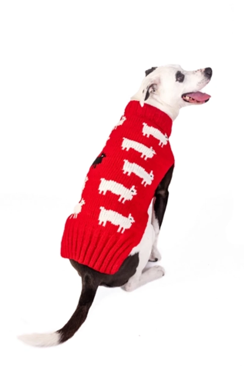 Chilly Dog Black Sheep Sweater