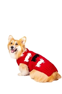 Chilly Dog Black Sheep Sweater